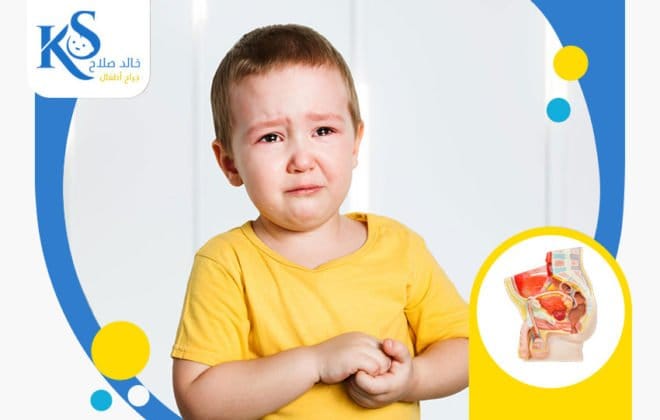 الاحليل-السفلى