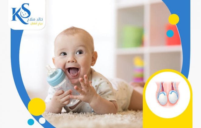 الفرق بين خصية الطفل الطبيعية والمعلقة 4 خصية الطفل الطبيعية